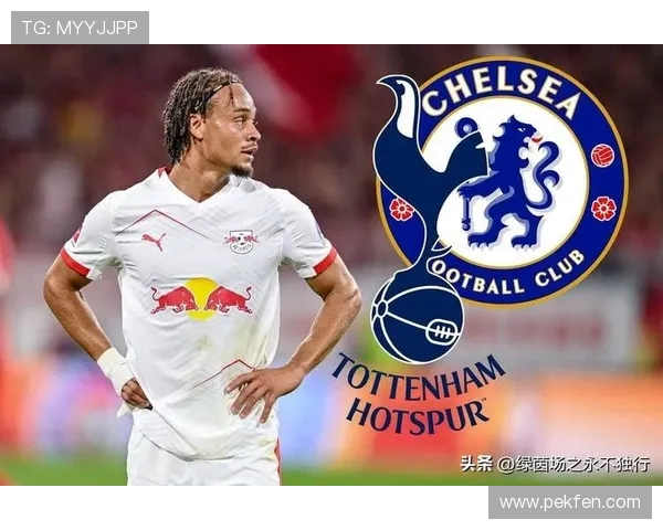 热刺瞄准新援阿克利乌什迪布林尼科帕斯力争补强阵容