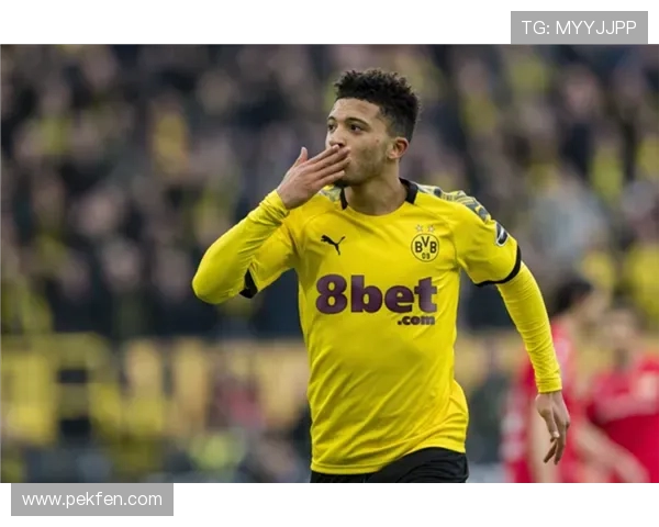 多特计划进行年轻化改革 未来通过出售球员提升俱乐部收入