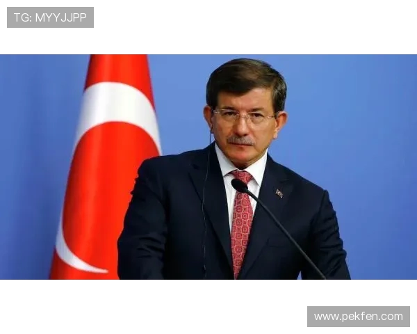 土耳其裔美国商人萨兰当选费内巴切新任主席开启新篇章