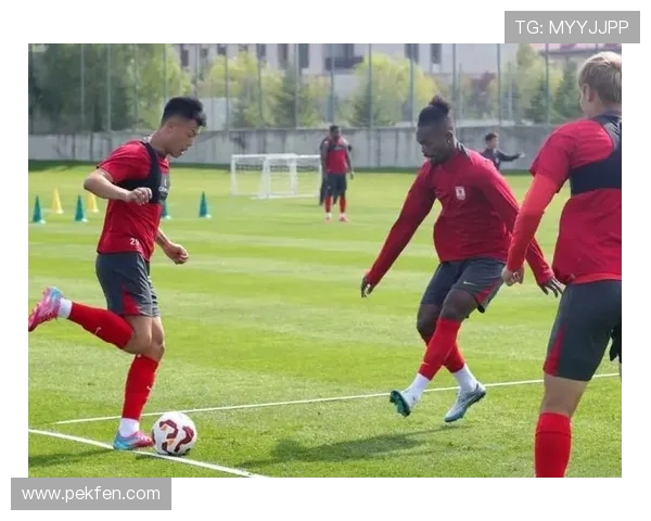 亚泰官方公布伤病名单 卡米洛、西普里安、苏祖等主力缺阵